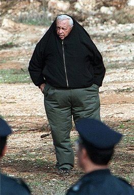 Obraz