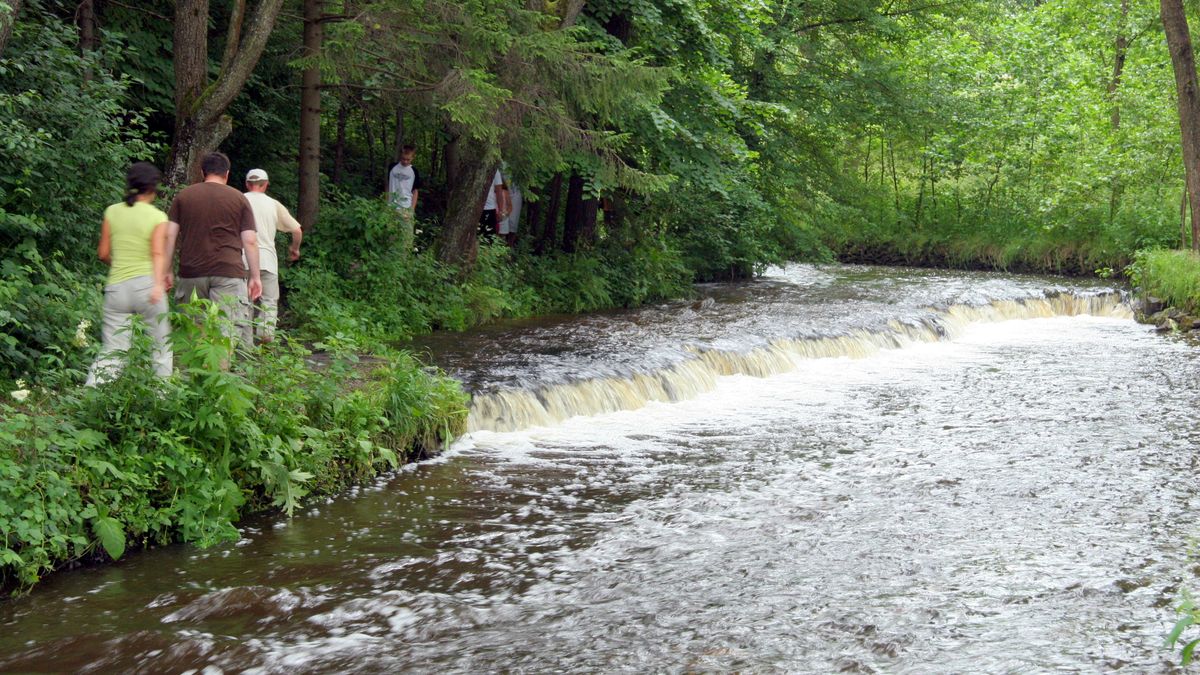 Odcinek doliny Tanwi w okolicach Suśca jest objęty rezerwatem "Nad Tanwią".