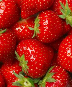 Pojawiły się polskie truskawki. Tylko ta cena... 20 zł za kilogram