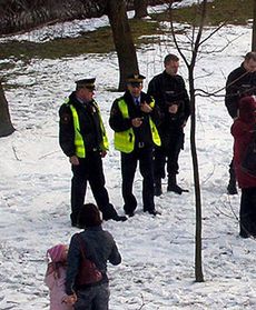 Ciężarna locha w Lublinie