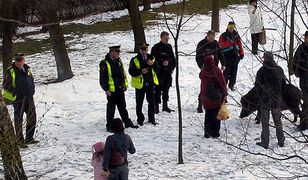 Ciężarna locha w Lublinie