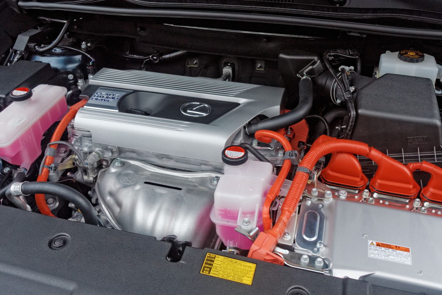 Domyślny opis zdjęcia na stronę główną 