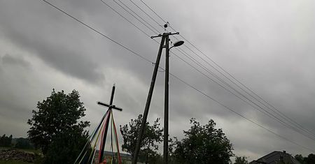Bocian biały przebity strzałą. W Wilczkowicach zauważono ptaka z "makabryczną pamiątką"