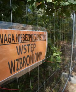 Koniec poszukiwań "złotego pociągu"