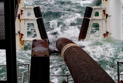 Mniej ryb w Bałtyku przez Nord Stream?