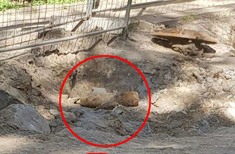 Półmetrowy niewybuch leżał pod chodnikiem. Wezwano saperów