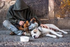 W tych miastach żyje najwięcej bezdomnych