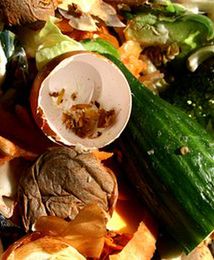 Polacy wyrzucają do śmietnika coraz więcej żywności