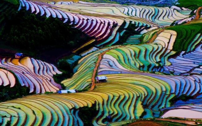 fot. Jimmy Tran/Shutterstock.com 