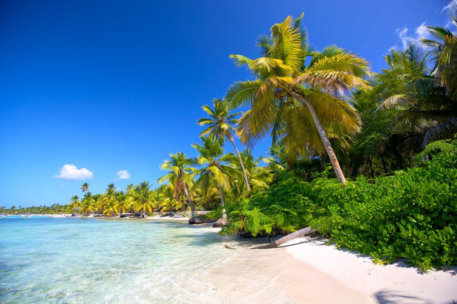 Dominikana - raj na Karaibach