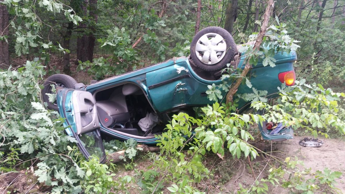 Kierowca dachował autem, a potem dosłownie wleciał do lasu w Otwocku. Był pijany