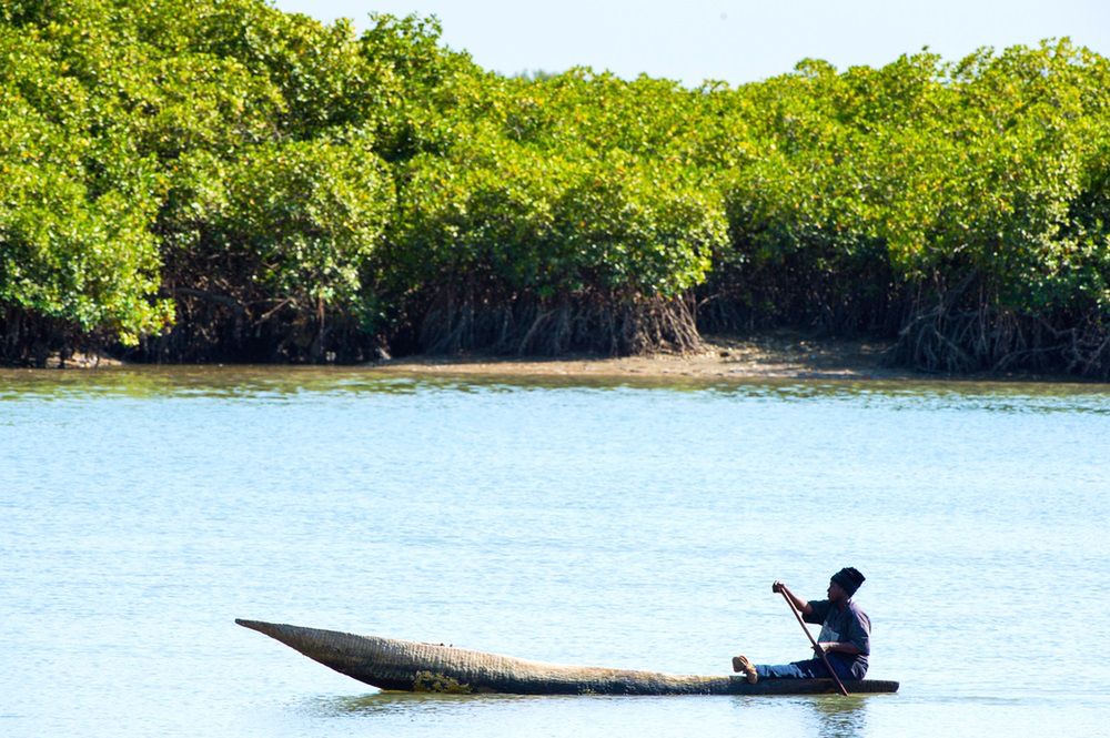 Gambia - uśmiechnięte wybrzeże Afryki