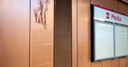 Warszawa. Słoń leśny upamiętniony na stacji metra Płocka