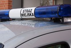 Straż miejska wezwała mieszkańca Poznania. Bo użył na Facebooku słowa "k...a"