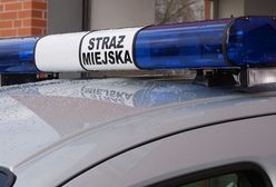 Strażnicy miejscy ukradli nietrzeźwemu 1200 zł? Jest zapis z monitoringu