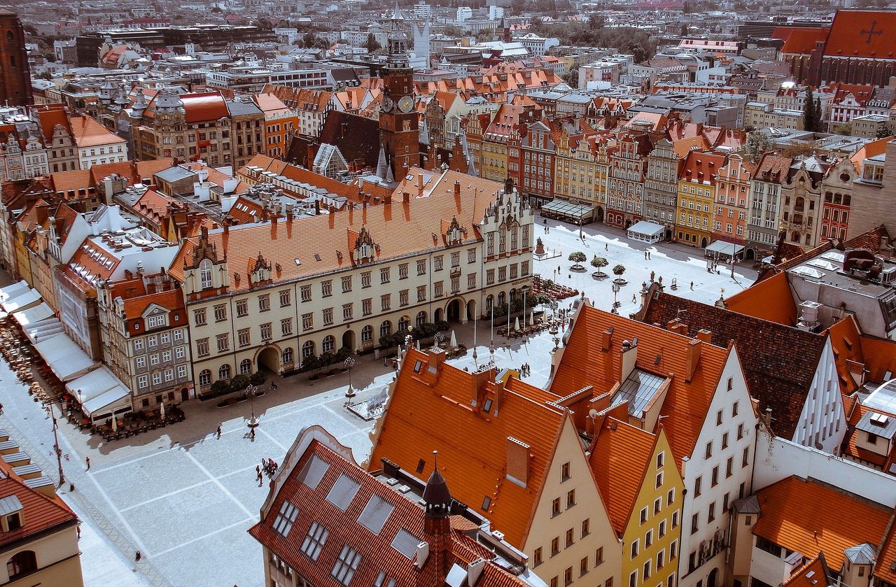 Wrocław wyda gigantyczne pieniądze na miejską zieleń