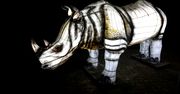 Wrocławskie zoo chce olśnić odwiedzających. Nowa atrakcja ma zwracać uwagę na ważny problem