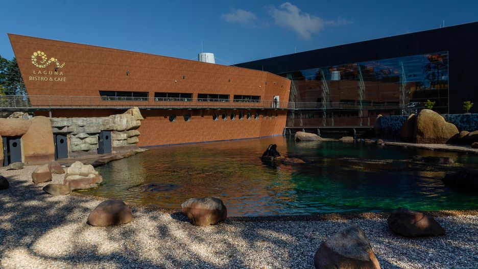 Program "Nasz Wrocław 365" oferuje darmowe wejściówki m.in. do wrocławskiego ZOO
