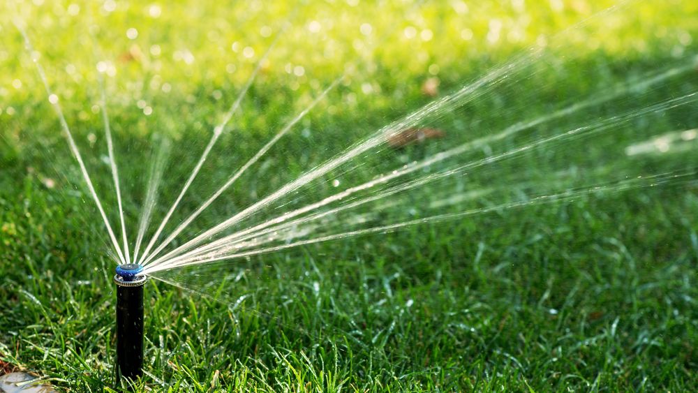 Nowoczesne systemy nawadniania są szczególnie przydatne w dużych ogrodach.