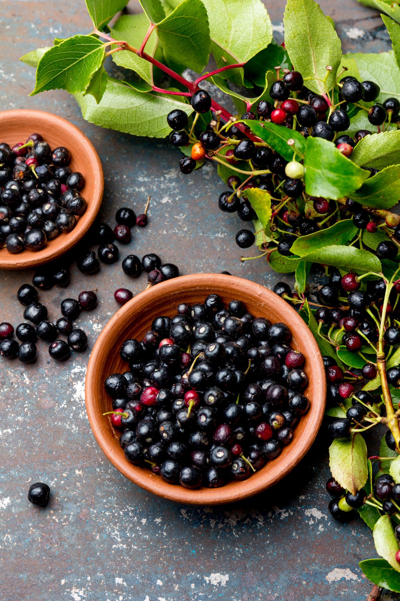 Jagody maqui to prawdziwy superfood. Pomagają schudnąć i opóźniają procesy starzenia