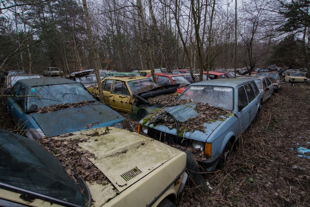 Cmentarzysko aut pod Warszawą. Jakie tajemnice skrywa?