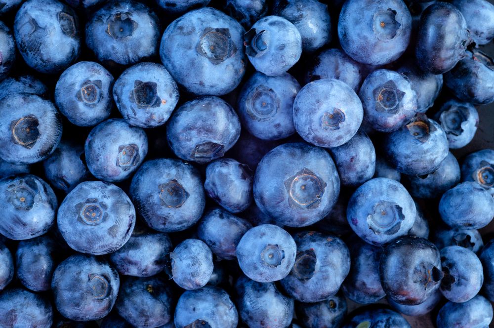 Dieta MIND podbija świat