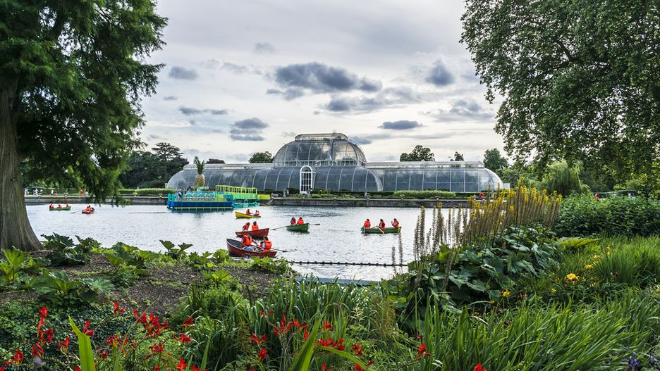 Kew Gardens w Londynie ma największą kolekcję roślin na świecie. Ponad 30 tys. różnych gatunków kwiatów, drzew i krzewów reprezentuje przeszło 7 mln okazów roślin