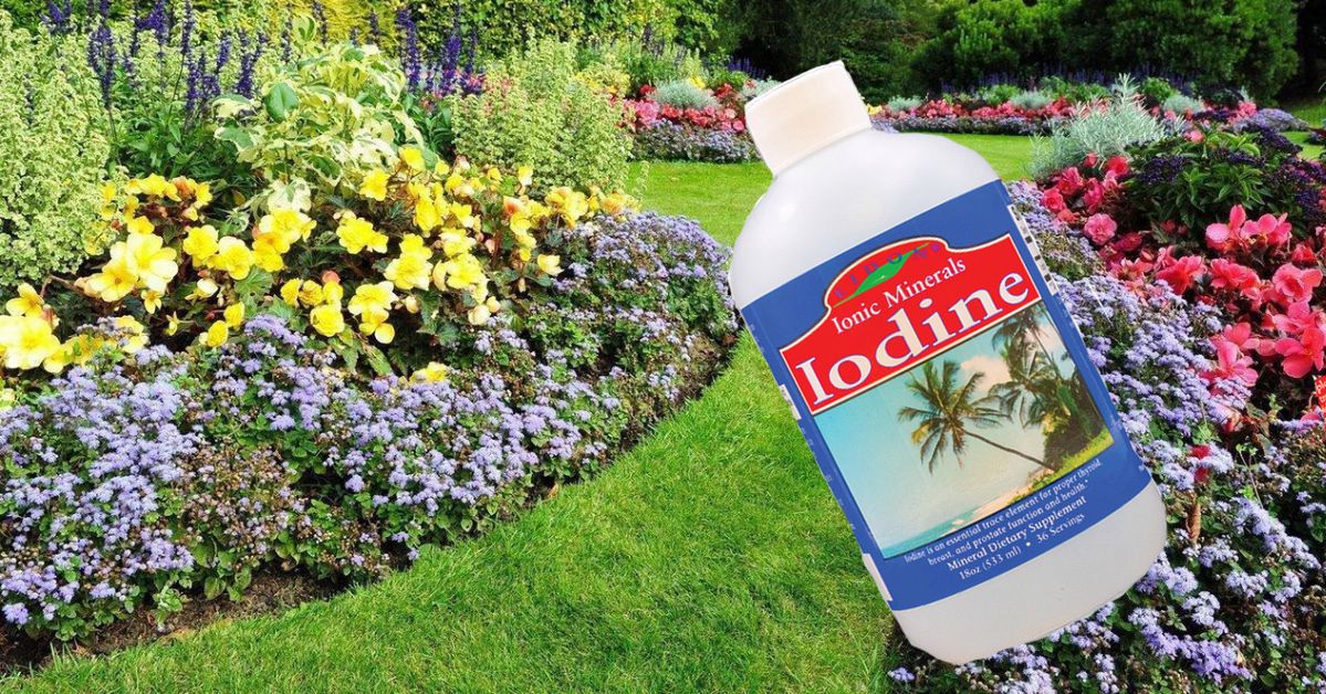 What Makes Iodine Useful in the Garden?