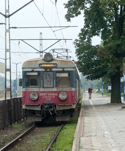 Łódź. Pociąg potrącił człowieka