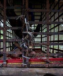 Wojciech Tochman: Proste rozwiązanie problemu ze służbą zdrowia. Dla ministra Łukasza Szumowskiego za darmo (opinia)