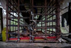 Wojciech Tochman: Proste rozwiązanie problemu ze służbą zdrowia. Dla ministra Łukasza Szumowskiego za darmo (opinia)