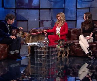 Kuba Wojewódzki flirtuje z Krupą i... ośmiesza Lewczuk