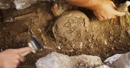 Gorzów Wielkopolski: archeolodzy odkopali kolejny pochówek przy katedrze