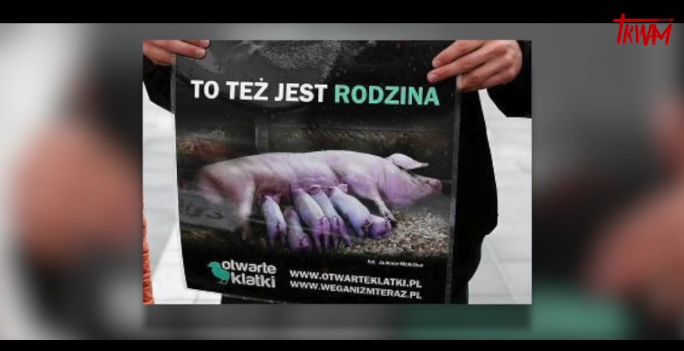 Ujęcie z filmu "Zaćmienie" 