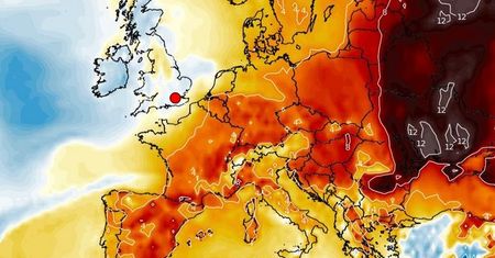 Pogodowe szaleństwo. Prognoza na Wigilię i święta wprawia w zdumienie