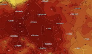 Pogoda na czwartek - 9 sierpnia. Tak upalnie dawno nie było!