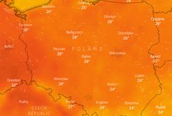 Gorąco? Mordercze upały dopiero przed nami. Ostrzeżenie MSWiA