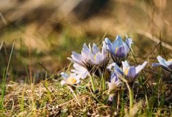 Prognoza Pogody na dziś – niedziela 24 marca. Sprawdź, jaka będzie dziś pogoda w największych miastach w Polsce