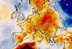 Pogoda. Jesień jeszcze poczeka. Po mroźnym tygodniu wracają wysokie temperatury