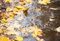 Pogoda na Wszystkich Świętych we Wrocławiu. Czy 1 listopada spadnie śnieg?