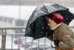 Orkan Friederike zbiera żniwo w Europie. Są już pierwsze ofiary śmiertelne, IMGW ostrzega Polaków