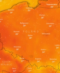 Gorąco? Mordercze upały dopiero przed nami. Ostrzeżenie MSWiA