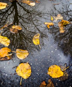 Prognoza pogody na dziś - 27 października. Chmury, deszcz i wiatr. IMGW ostrzega