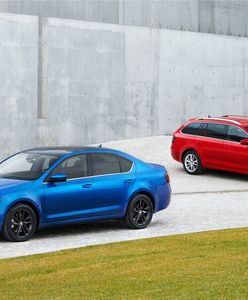 Czy wiesz, za ile kupisz najpopularniejsze auta w Polsce?