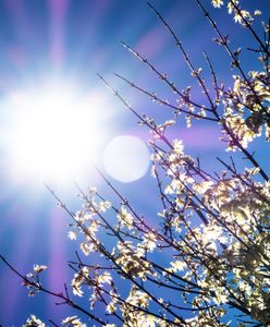 Prognoza pogody na dziś - 9 czerwca. Duszno i parno