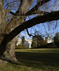 Prognoza pogody na dziś - 26 lutego. Pogodnie i słonecznie, do 11 stopni