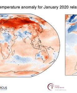 Pogoda szaleje. Temperatura w styczniu pobiła rekordy