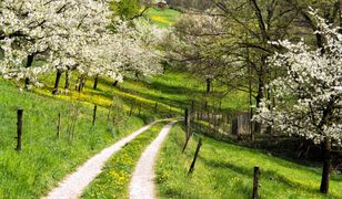 Pogoda. Wiosna w końcu rozpakuje walizki! Na termometrach 17°C i błękit nieba. Czy ocieplenie się utrzyma?