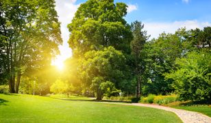 Pogoda na środę - 29 sierpnia. Pogodnie i słonecznie