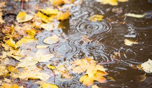 Pogoda na Wszystkich Świętych we Wrocławiu. Czy 1 listopada spadnie śnieg?